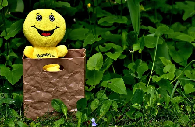 ShopBag L (250 unités)