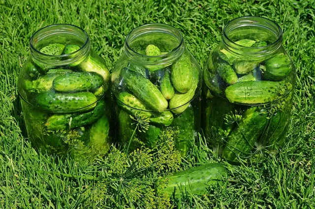 Eco Kit80 (max 80 pers.)